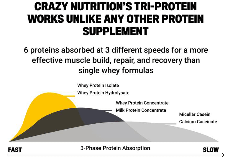 Tri-Protein 3 Phase Protein absorption