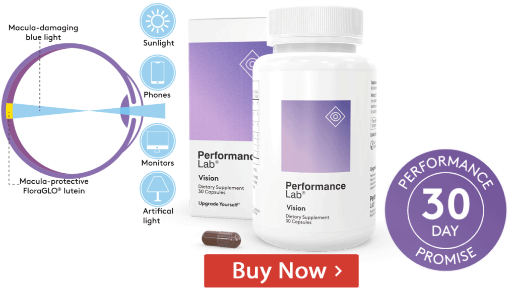 Buy Performance Lab Vision Online