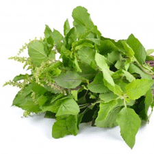 Holy-Basil Tulsi Ingredients