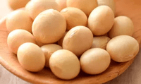 Choline Ingredients