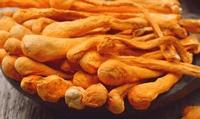 Cordyceps Ingredients