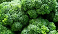 N-Acetyl L-Cysteine Ingredients